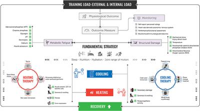 Post-exercise Recovery: Cooling and Heating, a Periodized Approach